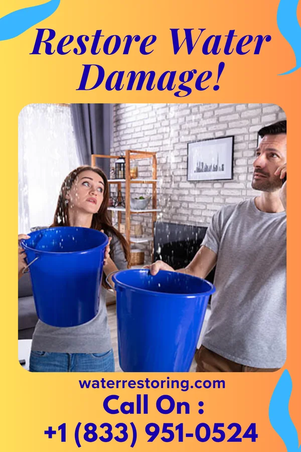water restoration Coastal Water Mitigation Pros Bowmanstown