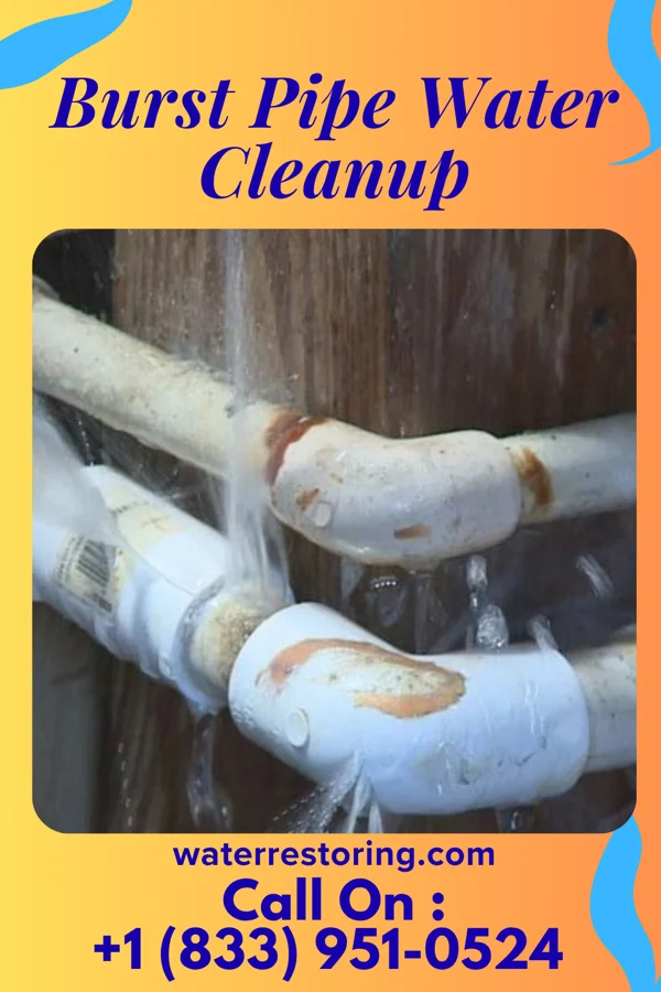 Burst Pipe Water Cleanup in Bowmanstown, PA