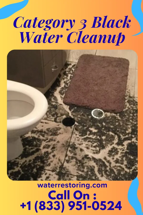 Category 3 Black Water Cleanup in Bowmanstown, PA