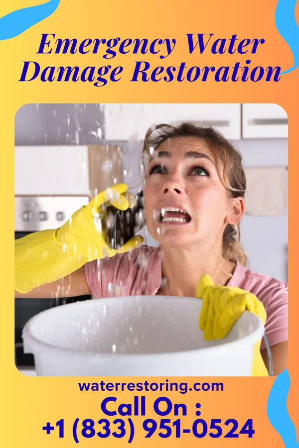 Emergency Water Damage Restoration in Bowmanstown, PA