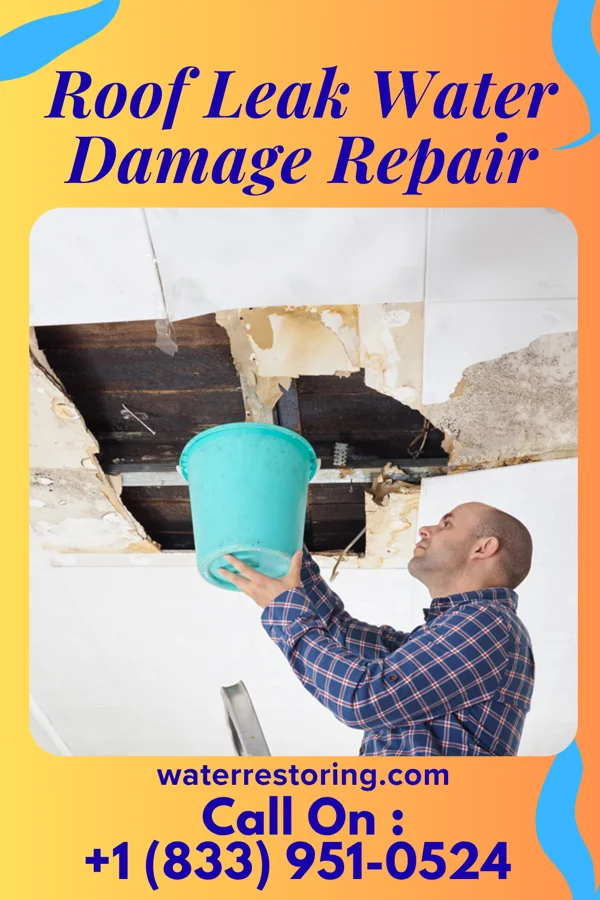 Roof Leak Water Damage Repair in Bowmanstown, PA