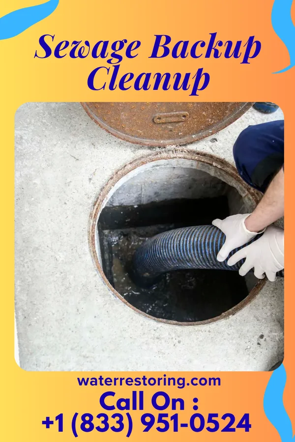 Sewage Backup Cleanup in Bowmanstown, PA