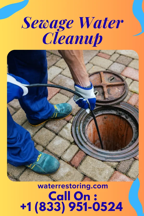 Sewage Water Cleanup in Bowmanstown, PA