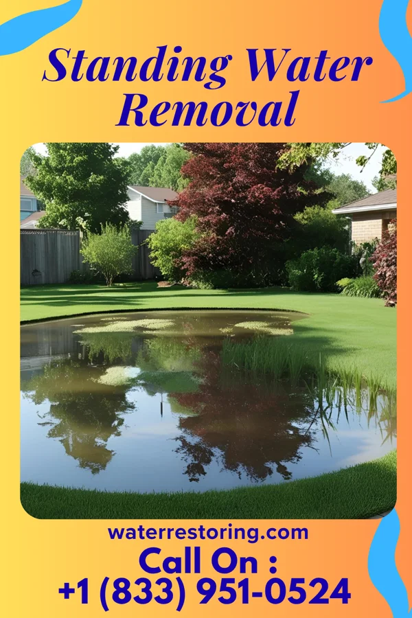 Standing Water Removal in Bowmanstown, PA